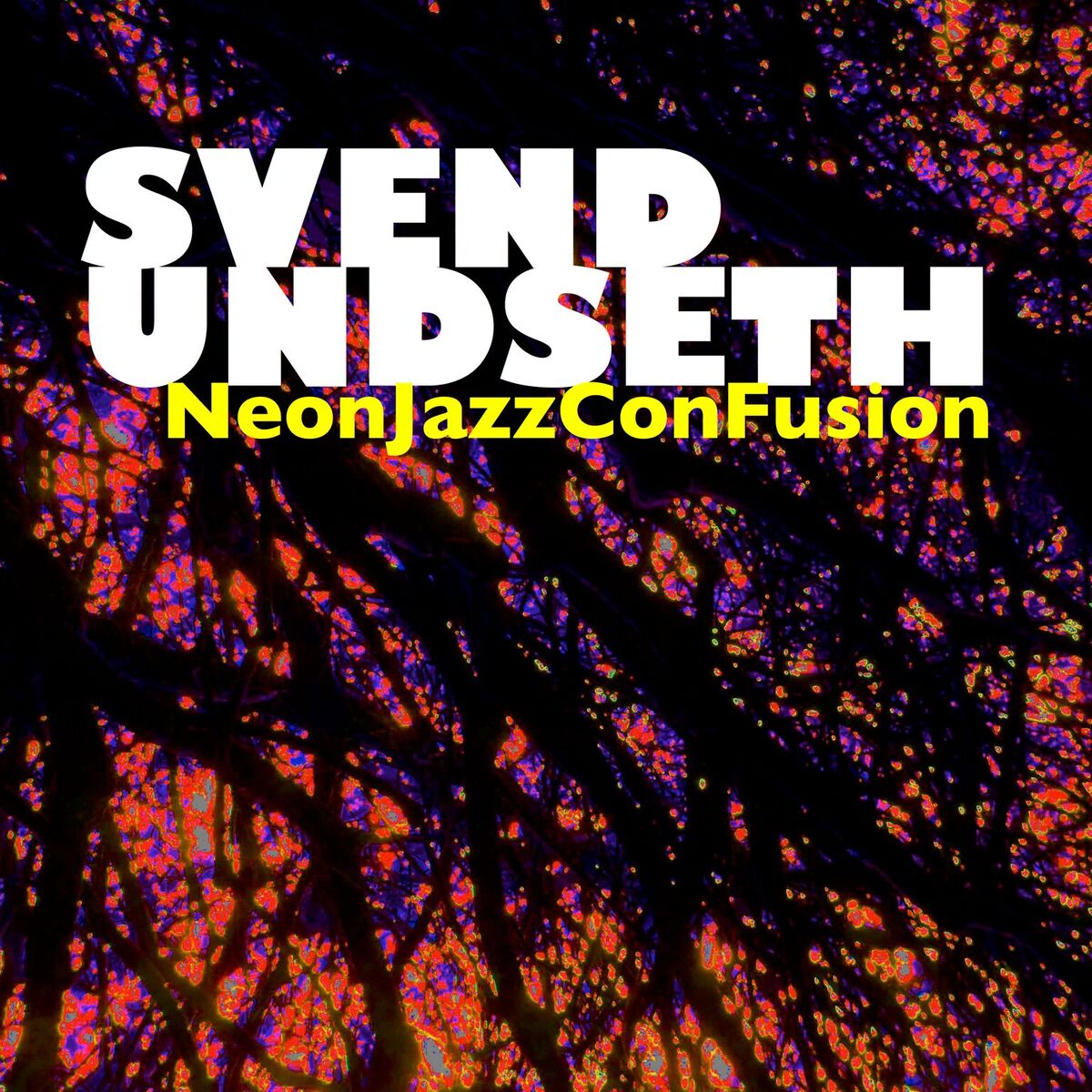 neonjazz-confusion cover